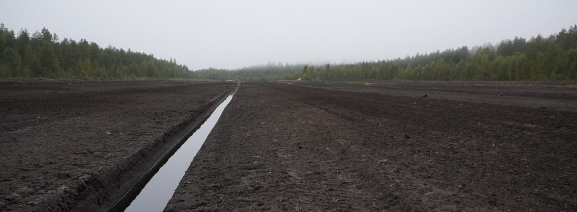 Kasvipeitteetön turvetuotantoalue. Oja, jossa vettä.